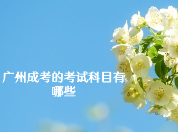 廣州成考考試科目